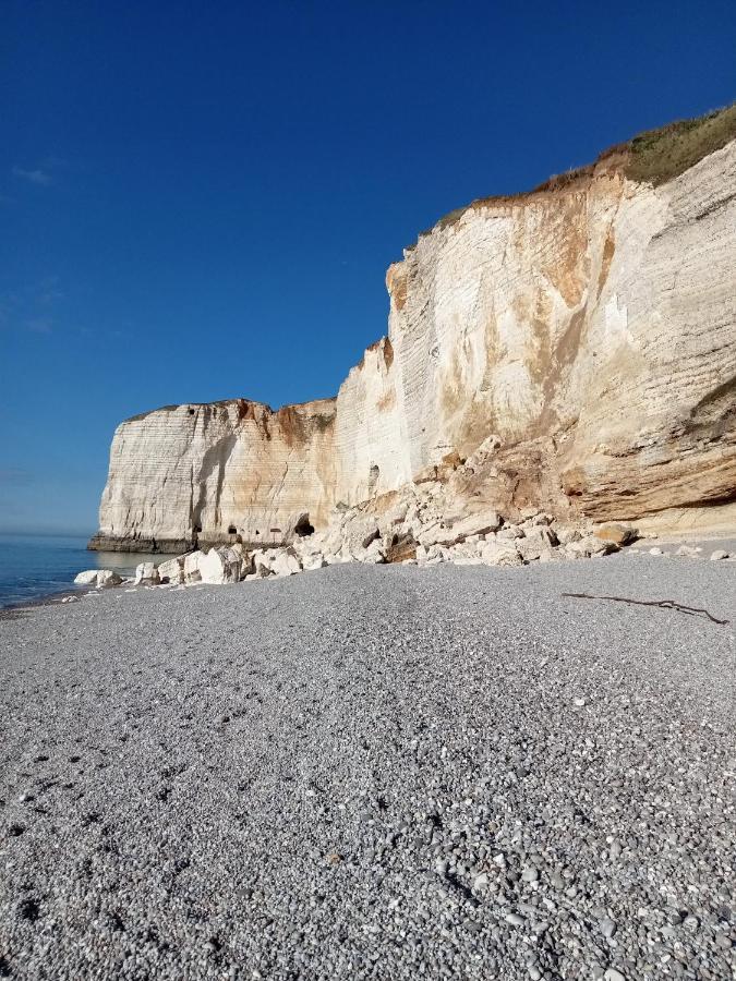 Les Charmes Du Bosquet Parc D'Amour Et Nature Parking Prive Securise Étretat Exteriér fotografie