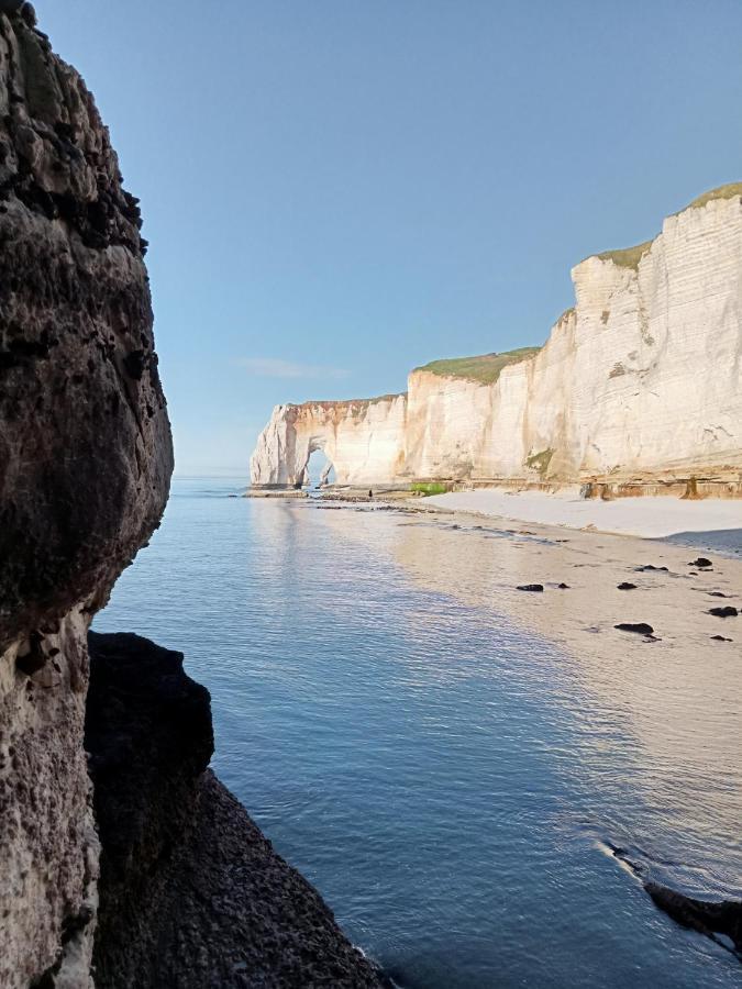 Les Charmes Du Bosquet Parc D'Amour Et Nature Parking Prive Securise Étretat Exteriér fotografie