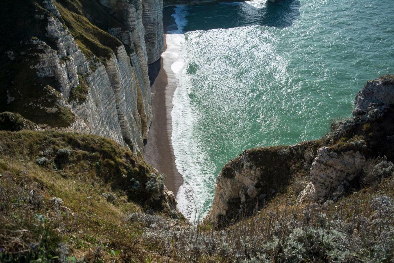 Les Charmes Du Bosquet Parc D'Amour Et Nature Parking Prive Securise Étretat Exteriér fotografie