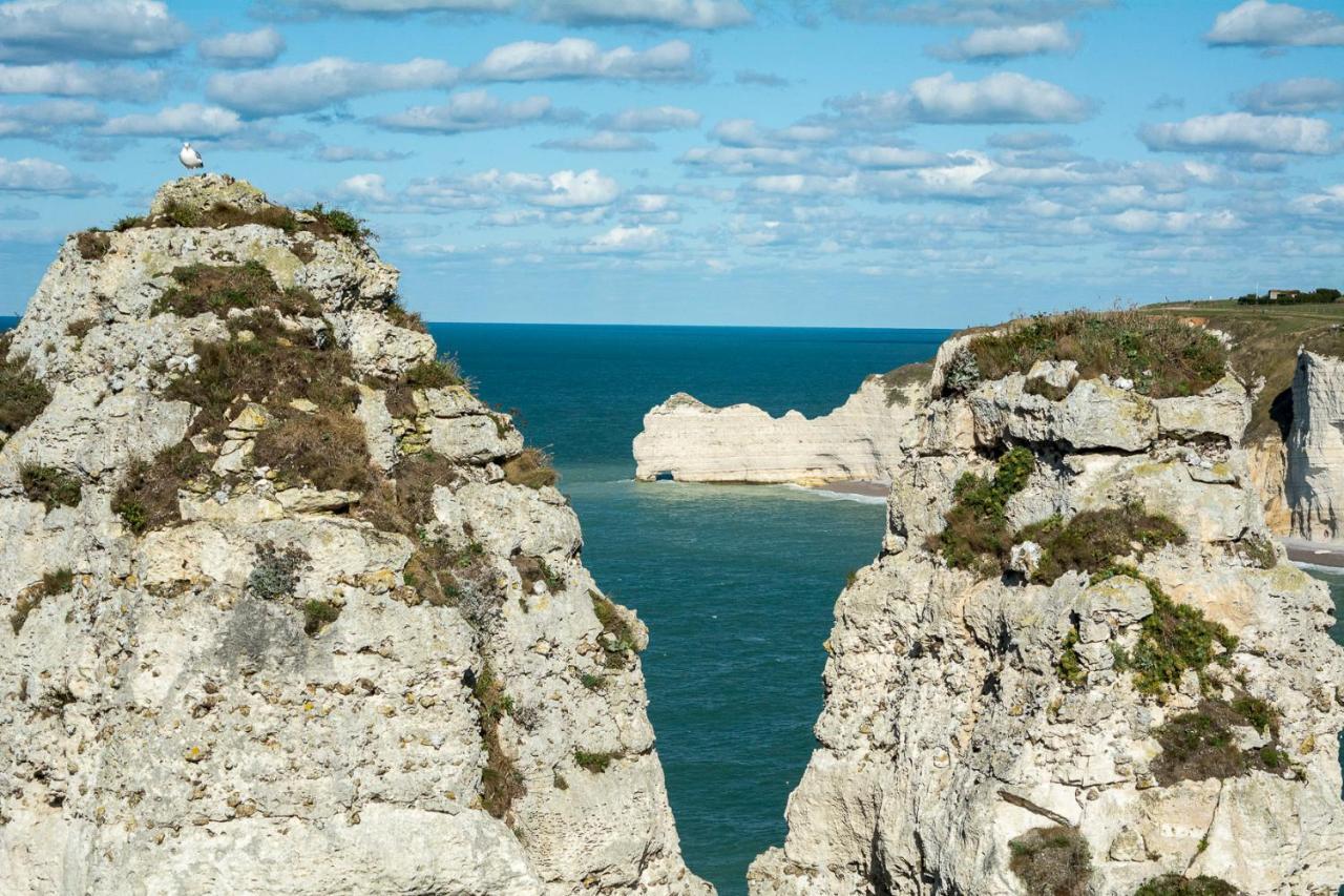 Les Charmes Du Bosquet Parc D'Amour Et Nature Parking Prive Securise Étretat Exteriér fotografie